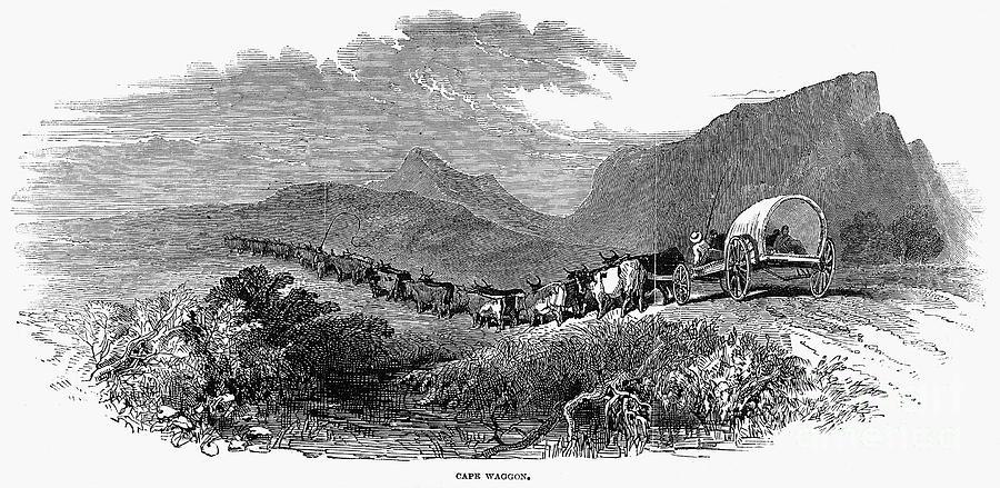 ARTWORK-Engraving Cape Wagon ARTWORK-Engraving Cape Wagon