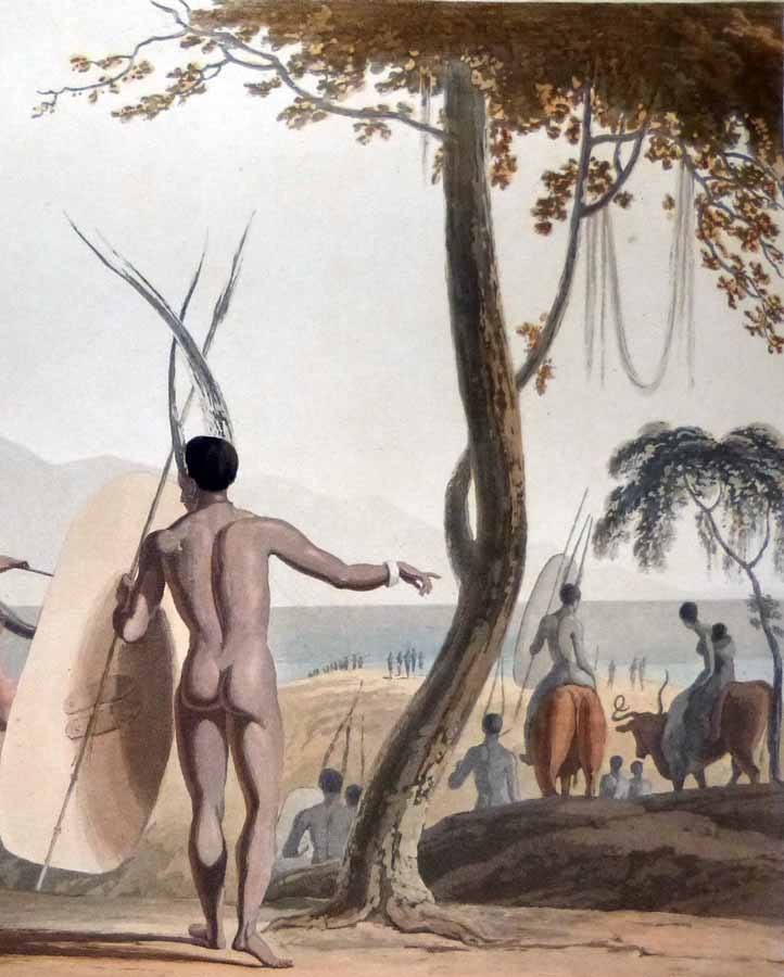 ARTWORK-XHOSA Warroir and riding oxen with trained horns ARTWORK-XHOSA Warroir and riding oxen with trained horns